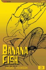Banana Fish, Volume 3