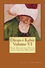 Divan-i Kabir, Volume VI: The Fourth, Fifth and Sixth Meters