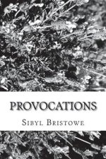 Provocations