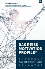 Ds Reiss Motivation Profile®