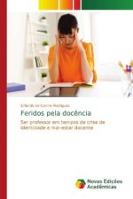 Feridos pela docencia