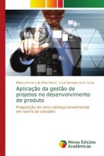 Aplicaç?o da gest?o de projetos no desenvolvimento de produto