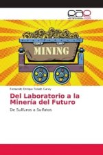 Del Laboratorio a la Mineria del Futuro