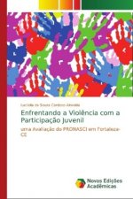 Enfrentando a Viol?ncia com a Participaç?o Juvenil