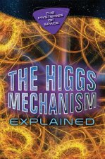 The Higgs Mechanism Explained