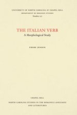 Italian Verb