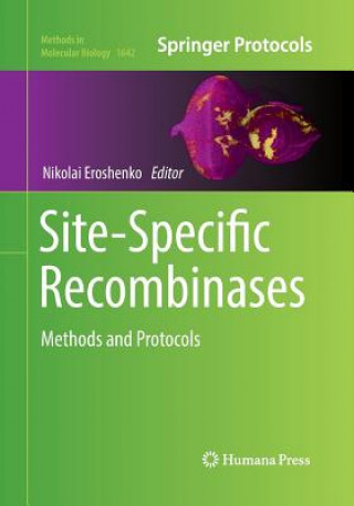 Site-Specific Recombinases