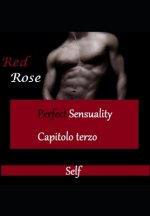 Perfect Sensuality capitolo terzo: Il Finale
