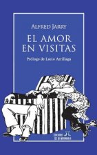 El Amor En Visitas