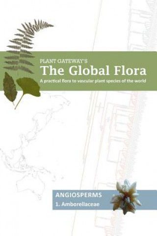 Amborellaceae