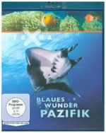Terra X: Blaues Wunder Pazifik, 1 Blu-ray