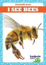 I See Bees