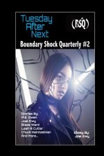 Tuesday After Next: Boundary Shock Quarterly #2