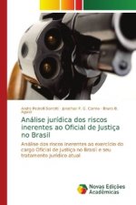 Analise juridica dos riscos inerentes ao Oficial de Justica no Brasil