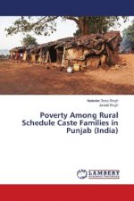 Poverty Among Rural Schedule Caste Families in Punjab (India)