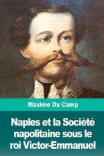 Naples et la Société napolitaine sous le roi Victor-Emmanuel