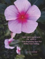 The True Lineage of Jesus Christ: Your Beginning Does Not Define Your Ending