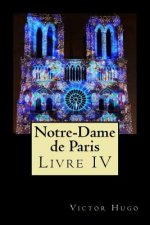 Notre-Dame de Paris (Livre IV)