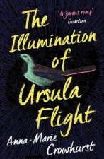 Illumination of Ursula Flight