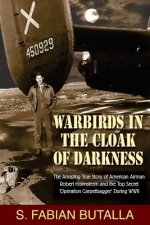 Warbirds in the Cloak of Darkness: The Amazing True Story of American Airman Robert Holmstrom and the Top Secret 