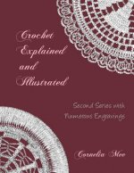 Crochet Explained and Illustrated: Second Series with Numerous Engravings