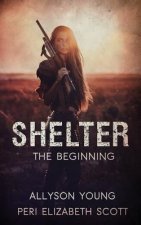 Shelter: The Beginning