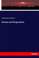 Grasses and forage plants