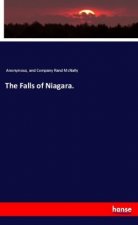 The Falls of Niagara.