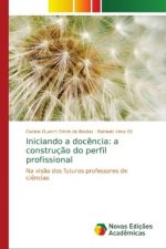 Iniciando a docencia