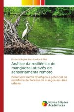 Análise da resili?ncia do manguezal através de sensoriamento remoto