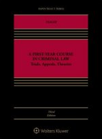 A First-Year Course in Criminal Law: Trials, Appeals, Theories