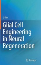 Glial Cell Engineering in Neural Regeneration