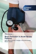 Brain Perfusion in Acute Stroke Patients