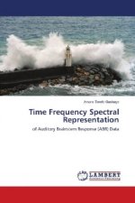 Time Frequency Spectral Representation