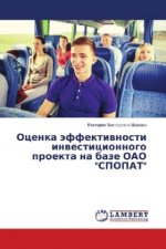 Ocenka äffektiwnosti inwesticionnogo proekta na baze OAO 