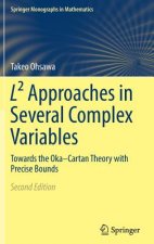 L(2) Approaches in Several Complex Variables