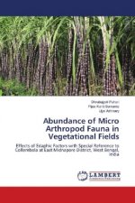 Abundance of Micro Arthropod Fauna in Vegetational Fields