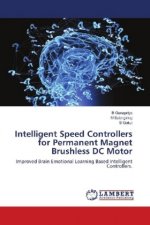 Intelligent Speed Controllers for Permanent Magnet Brushless DC Motor