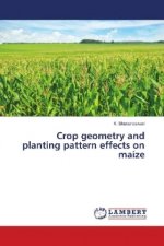 Crop geometry and planting pattern effects on maize
