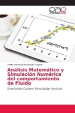 Analisis Matematico y Simulacion Numerica del comportamiento de Fluido