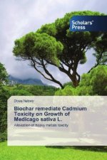 Biochar remediate Cadmium Toxicity on Growth of Medicago sativa L.