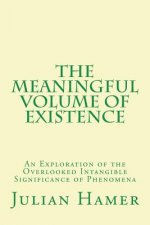 Meaningful Volume of Existence