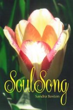 Soul Song