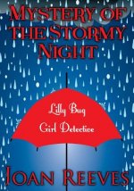 Mystery of the Stormy Night: Lilly Bug, Girl Detective, Mystery
