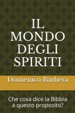 Il Mondo Degli Spiriti: Che Cosa Dice La Bibbia a Questo Proposito?