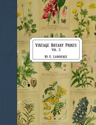 Vintage Botany Prints: Vol. 3