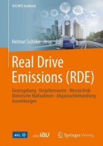 Real Driving Emissions (RDE)