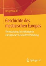 Geschichte Des Mestizischen Europas