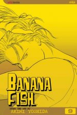 Banana Fish, Vol. 9: Volume 9
