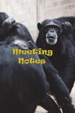 Meeting Notes